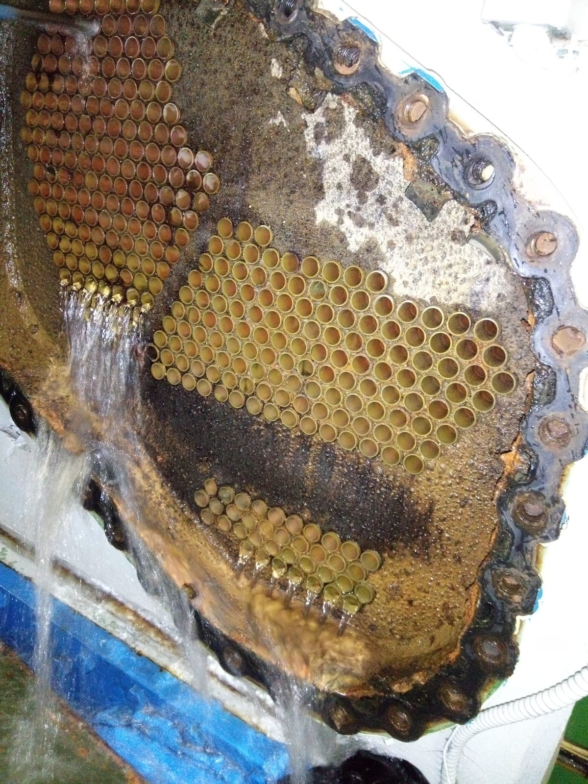 Project Image 11